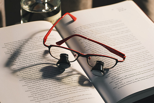 NK Vision TTL x3.3 – Бинокуляры