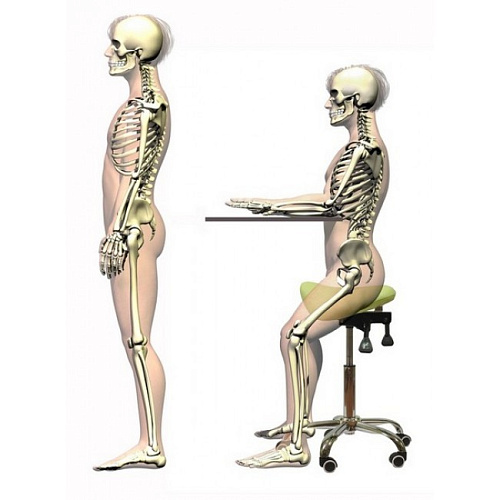 SmartStool SM03B - эргономичный стул-седло со спинкой