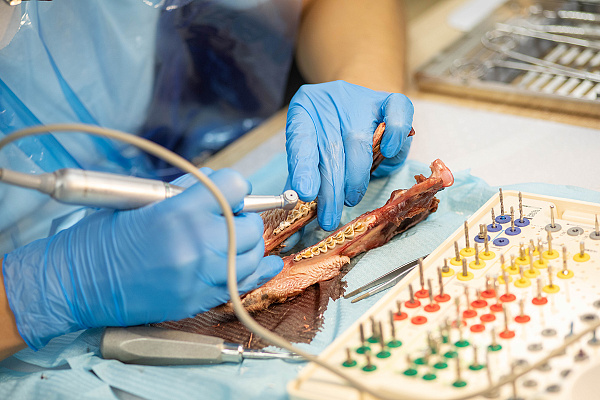 10 сентября Вольберг19.jpg