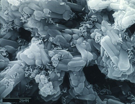 Durr Dental Vector Fluid polish – полирующая жидкость с частицами гидроксилапатита